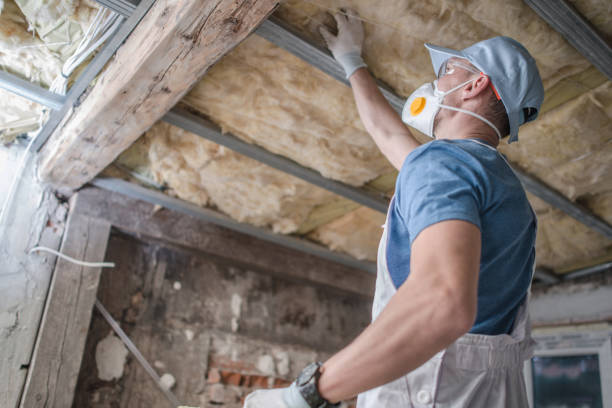 Best Insulation for Specific Applications in Wacousta, MI
