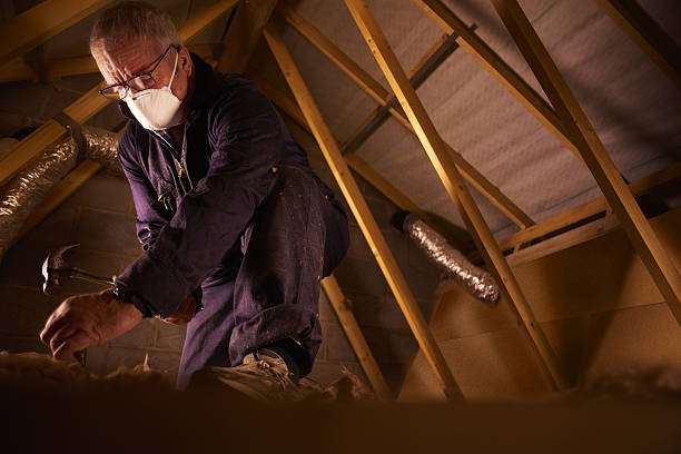 Best Insulation for Specific Applications in Wacousta, MI